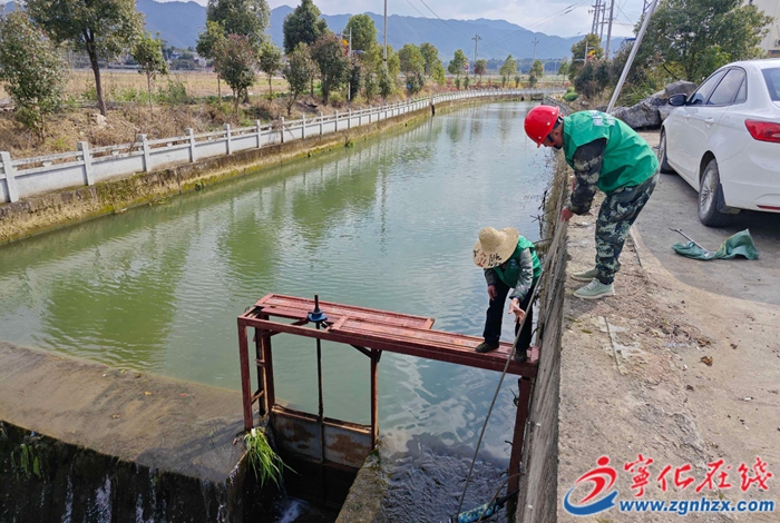 泉上镇开展汛前河道集中整治行动