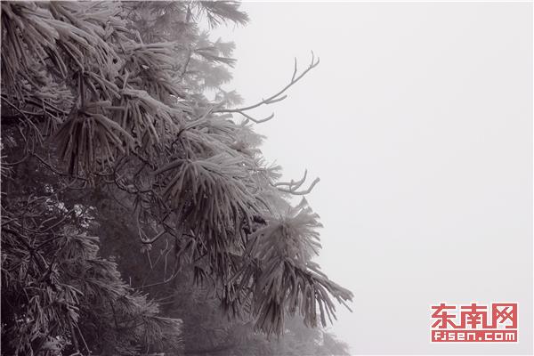 冬日添美景 三明多地降雪现雾凇冰挂 
