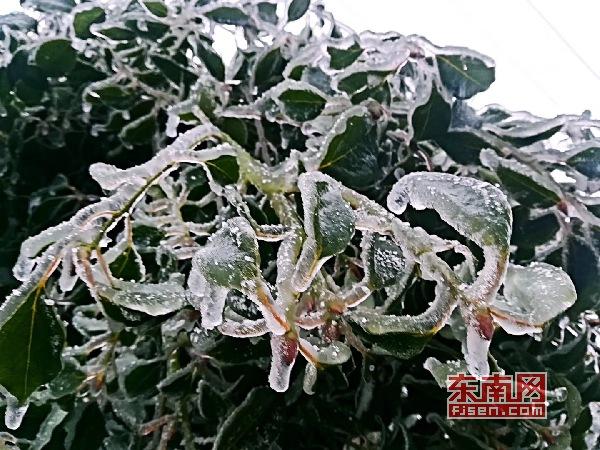 冬日添美景 三明多地降雪现雾凇冰挂 