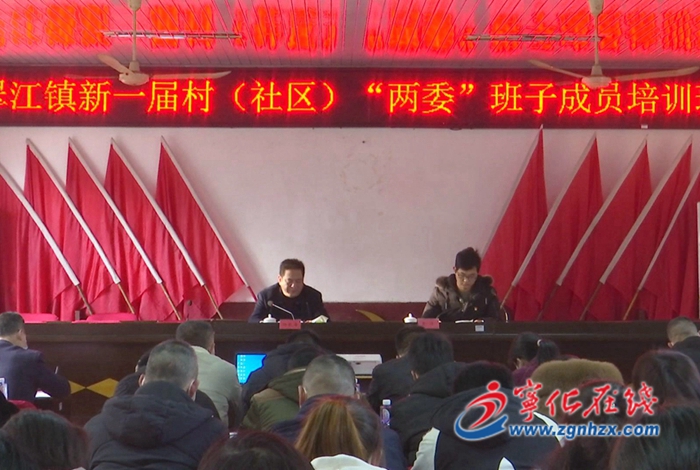 翠江镇举办新一届村（社区）“两委”班子成员培训班