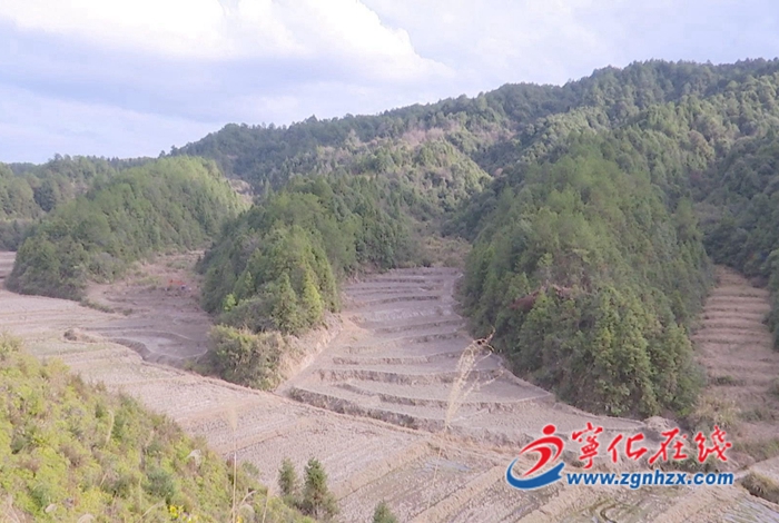 宁化曹坊：荒地复耕 “沉睡”土地变良田