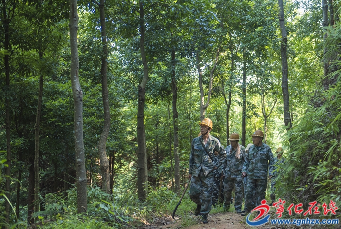 宁化：智慧林场迈新步