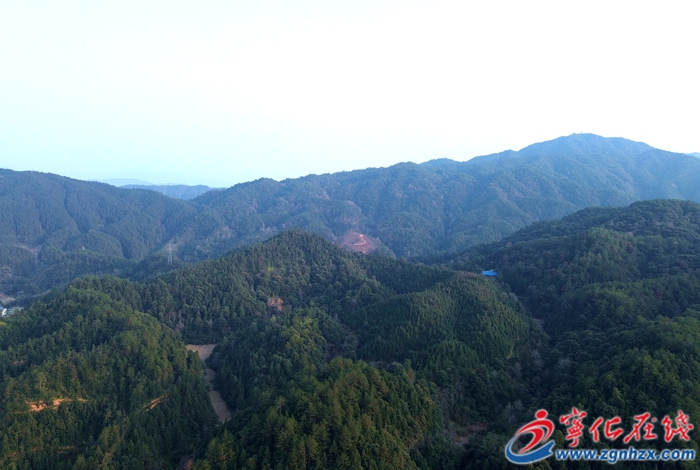 宁化：场村共建  育材兴林