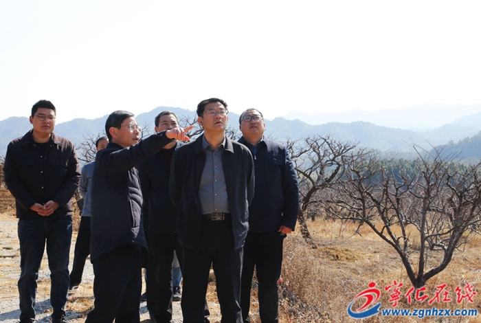 宁化县领导到泉上镇调研