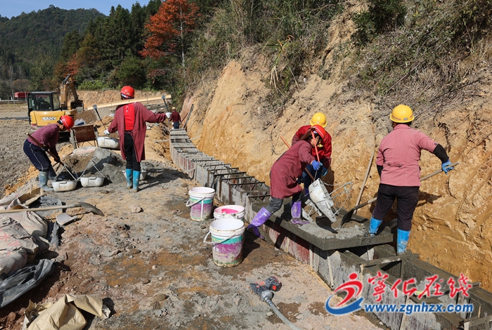 安远镇：高标准农田建设提速 夯实粮食安全根基
