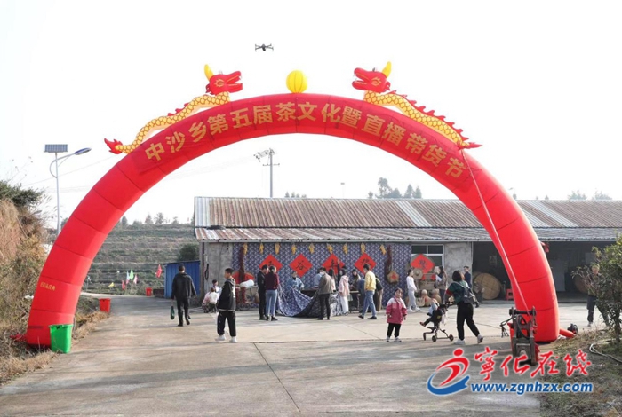 宁化中沙乡举办第五届茶文化暨直播带货节