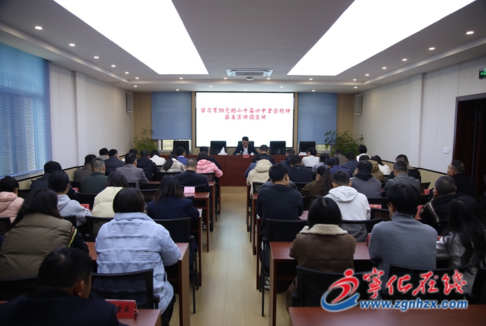 学习贯彻党的二十届四中全会精神县委宣讲团赴湖村镇开展宣讲