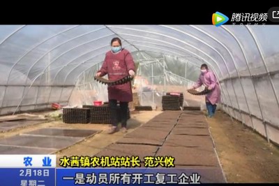 水茜镇：春耕备耕忙 播种育苗正当时