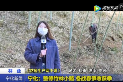 宁化：整修竹林小路 备战春笋收获季
