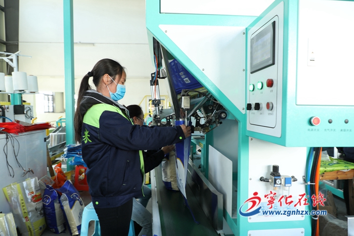 宁化：粮食企业开足马力保供应