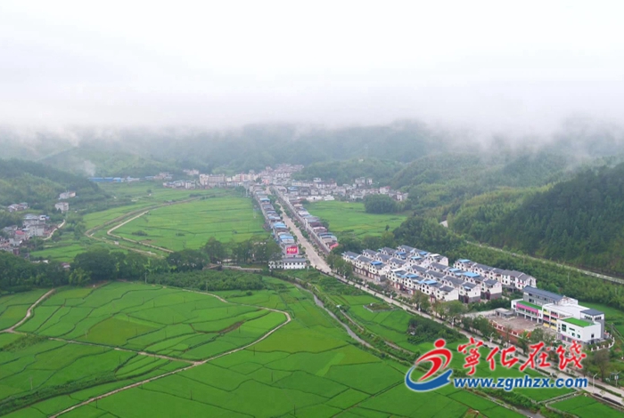 多肉大棚开出“振兴花”