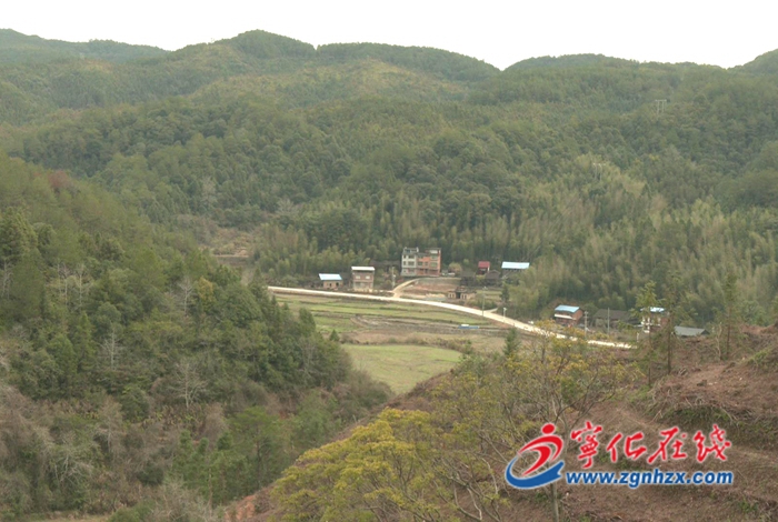 宁化：持续松林改造 奋力实现“开门红”