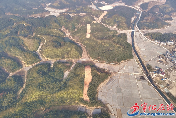 宁化：“林电共建”守护绿水青山
