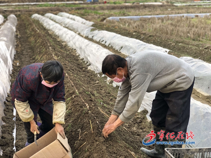 宁化曹坊：战“疫”保春耕助扶贫
