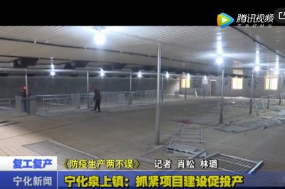 宁化泉上镇：抓紧项目建设促投产