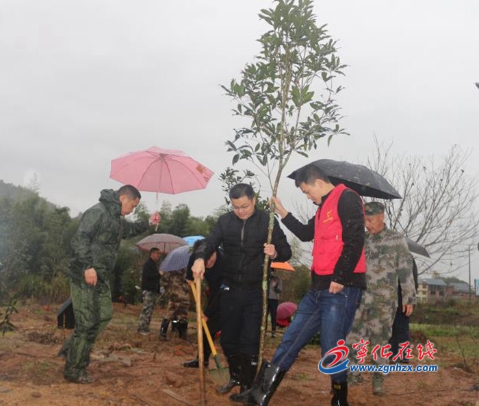 宁化安远：干群植树添新绿