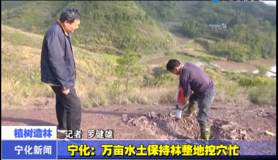 宁化：万亩水土保持林整地挖穴忙