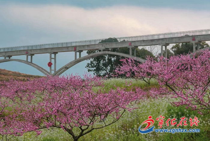 宁化淮土：桃花盛开春满园