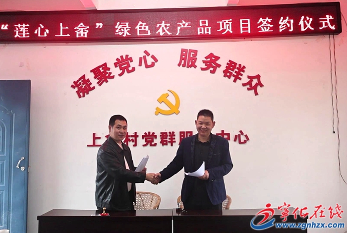 城郊镇上畲村：举行百亩莲子种植项目签约仪式