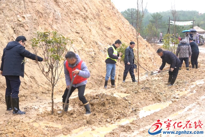 淮土镇：义务植树添新绿 践行生态展担当
