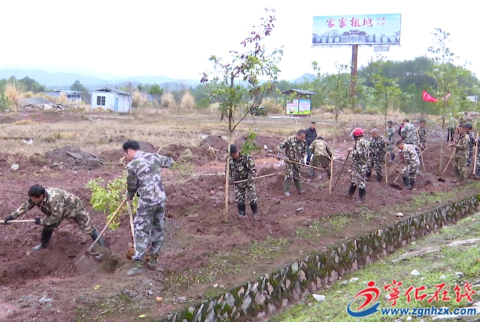 石壁镇：开展植树活动 共添一片新绿