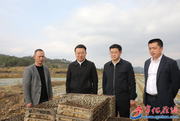 省领导来宁调研挂钩帮扶工作