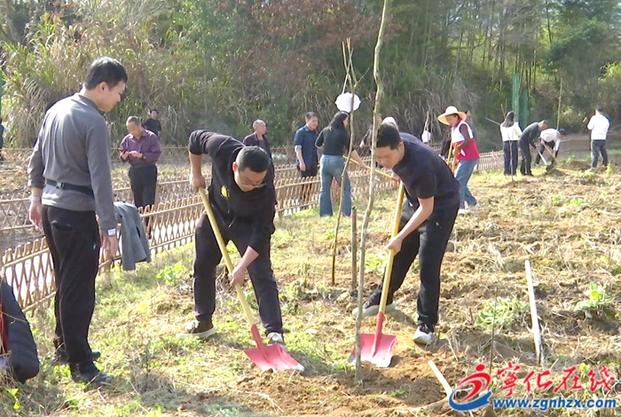 湖村镇：开展“我在蛟湖有棵树”主题植树活动