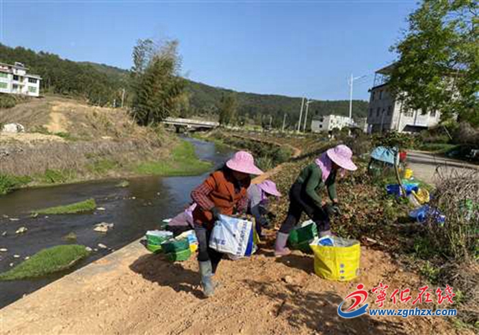 宁化县方田乡：植树绿化打造宜居家园