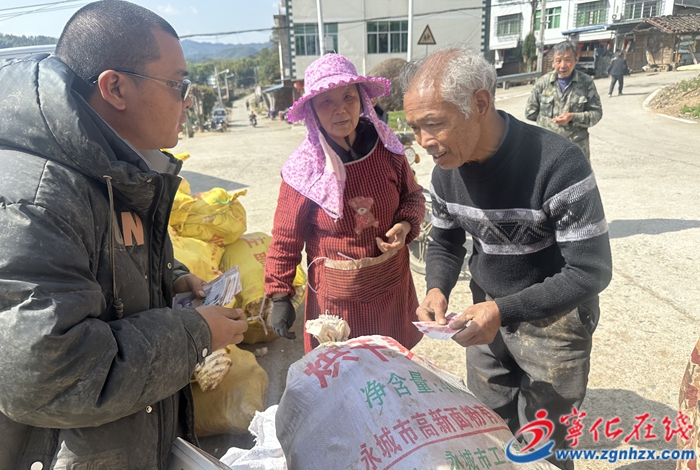 宁化县安远镇：林下经济结硕果 春笋满山助农增收