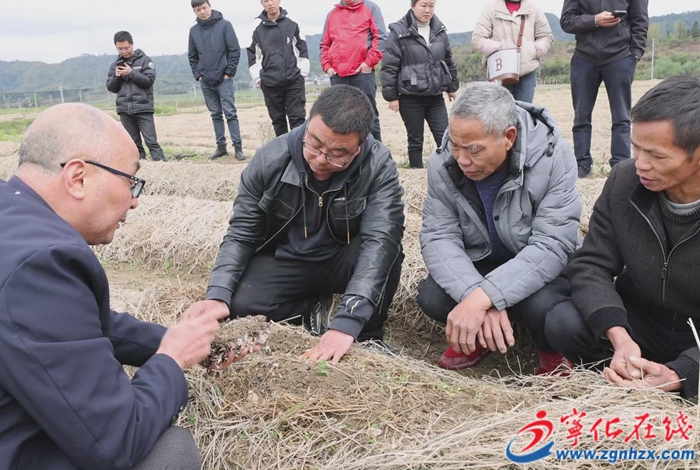 湖村镇举办2025年度农村党员春季培训示范班