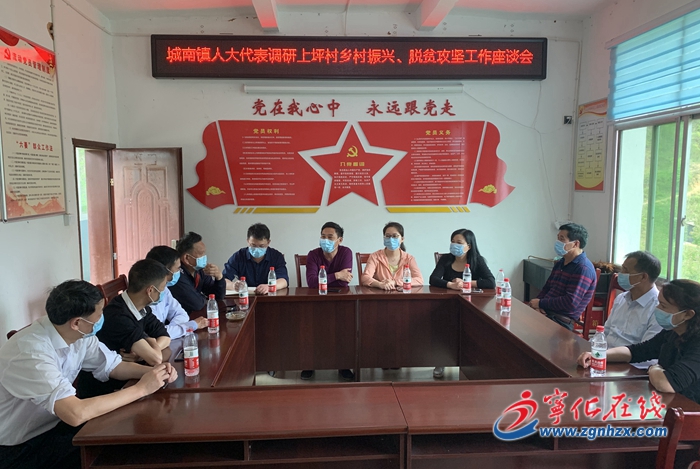 宁化城南镇：人大代表调研乡村振兴和脱贫攻坚工作