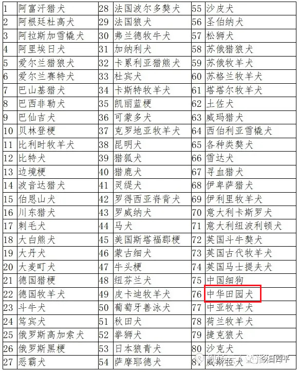 吉林四平拟禁养中华田园犬 合肥也拟禁养征求意见后改为允许