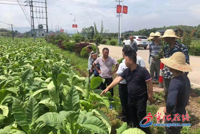 宁化淮土镇：遭受暴雨袭击，全力开展生产自救
