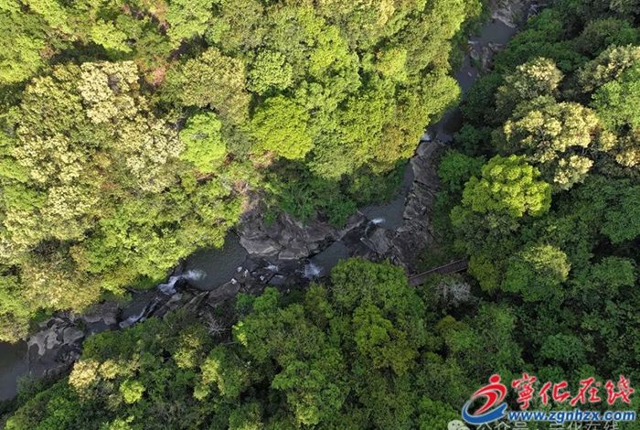 宁化：农文旅融合激活乡村游，特色活动点燃假期经济