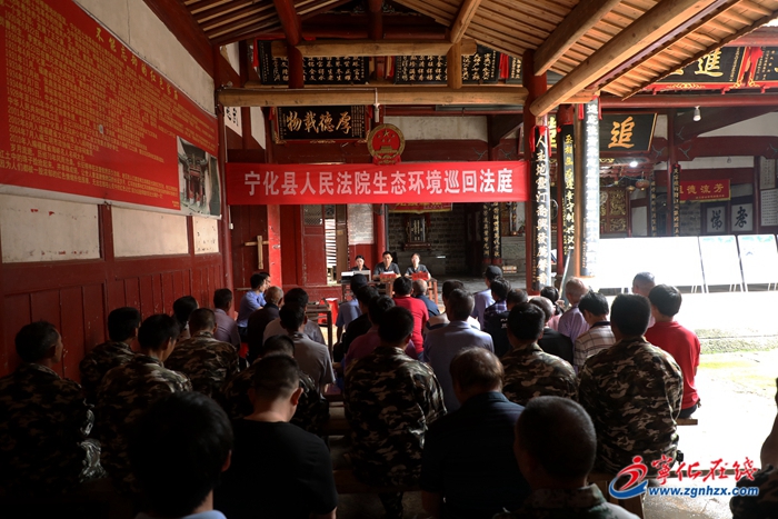 宁化：巡回审理盗伐林木案件