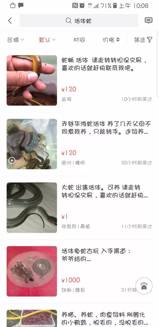 ▲红星新闻记者在该平台上,依然发现有许多卖蛇的信息。截图