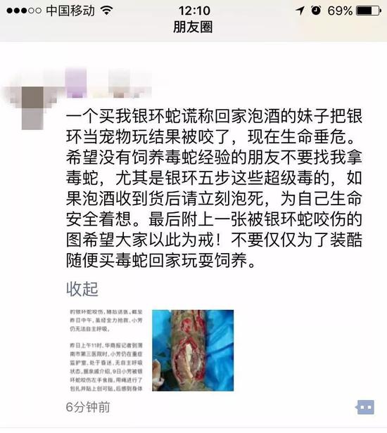 ▲疑似银环蛇卖家的朋友圈截图。琪琪家属供图