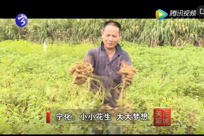 关注翠城：小小花生  大大梦想