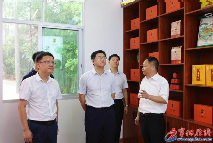 宁化县领导开展农业、种业产业链项目调研