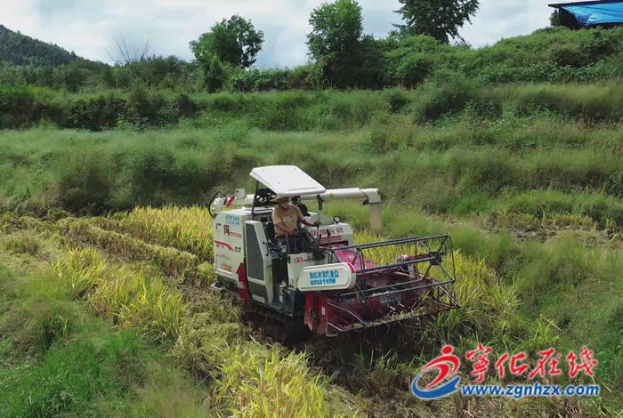 习近平总书记给福建农林大学全体师生的回信在宁化引发热烈反响