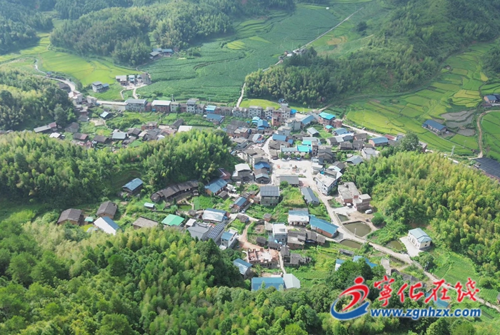 方田乡：竹荪产业“破土”生金